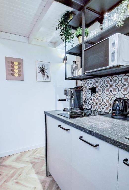 Lion Apartments - Premium Studio Cracovia Esterno foto