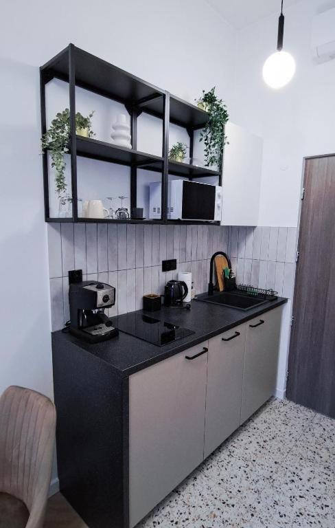 Lion Apartments - Premium Studio With Balcony Cracovia Esterno foto
